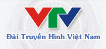 Đài truyền hình Việt nam
